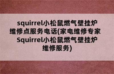 squirrel小松鼠燃气壁挂炉维修点服务电话(家电维修专家  Squirrel小松鼠燃气壁挂炉维修服务)